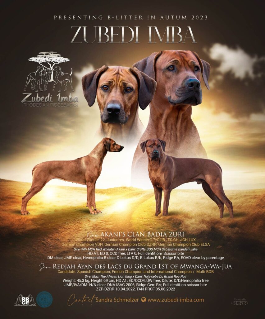 camada ridgeback