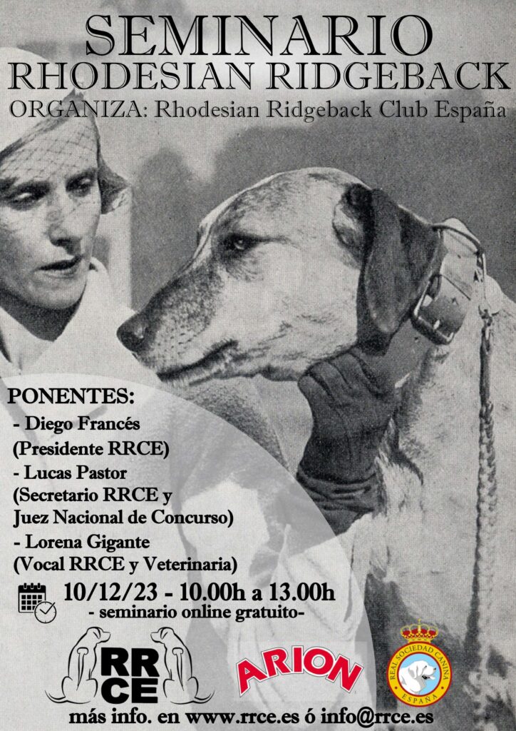 seminario rhodesian ridgeback