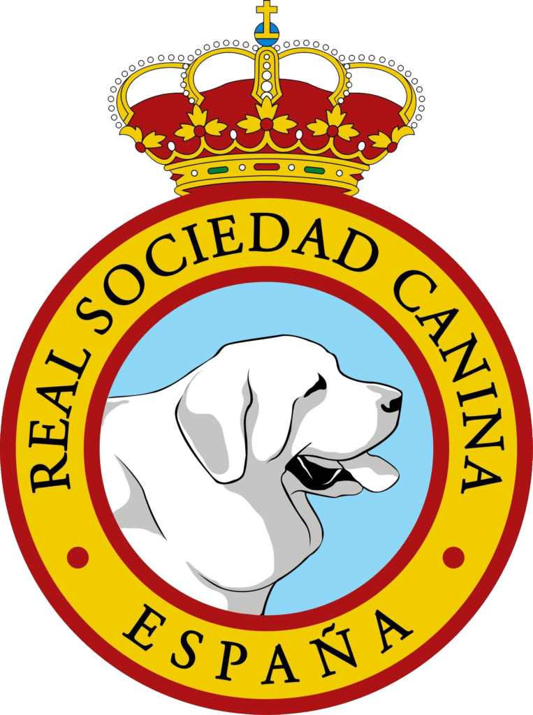 RSCE RHODESIAN RIDGEBACK
